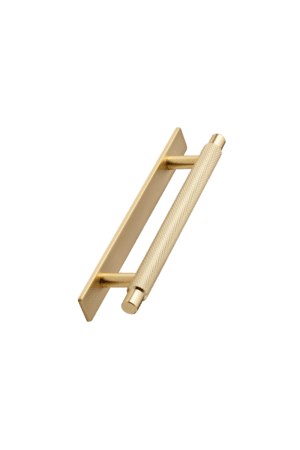 Manor Gold Handle with Back Plate