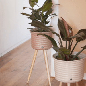 Planter/Flower Pot