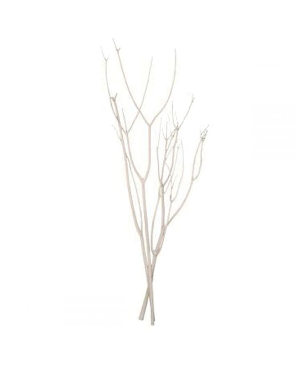 Mitsumata Natural White 3 Branches - Dunvara Design