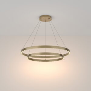 Rim Gold Pendant Light