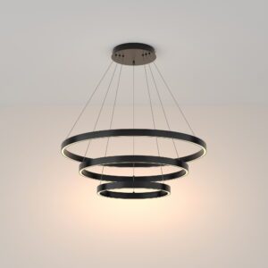 Rim Black Round Chandelier 3