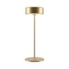 AI Collaboration Gold Battery Lamp