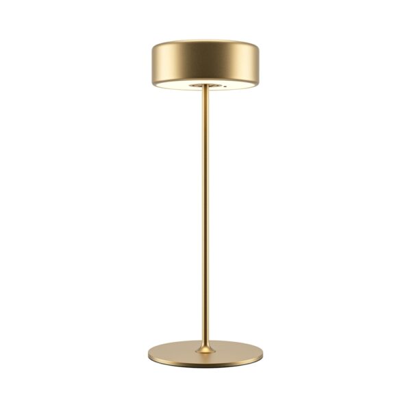 AI Collaboration Gold Battery Lamp
