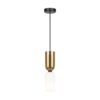 Memory Gold Pendant Light