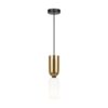 Memory Gold Pendant Light