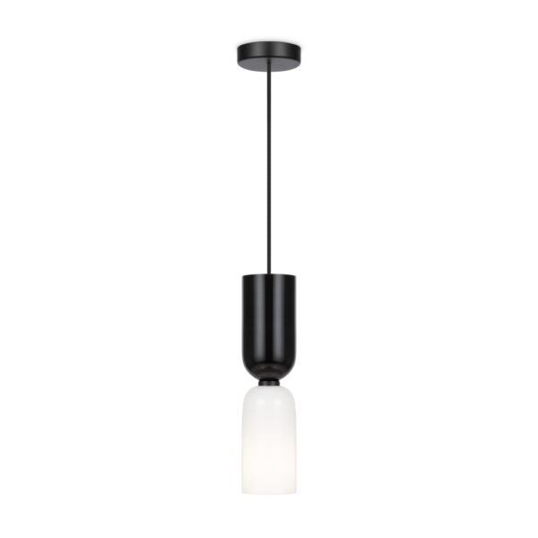 Memory Black Pendant Light