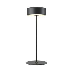 AI Black Collaboration Battery Lamp