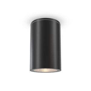 Roll Outdoor Ceiling Light