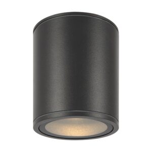 Bar Outdoor Ceiling Light