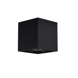 Ares Outdoor Ceiling Light