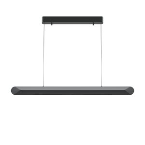 Motion Pendant Light