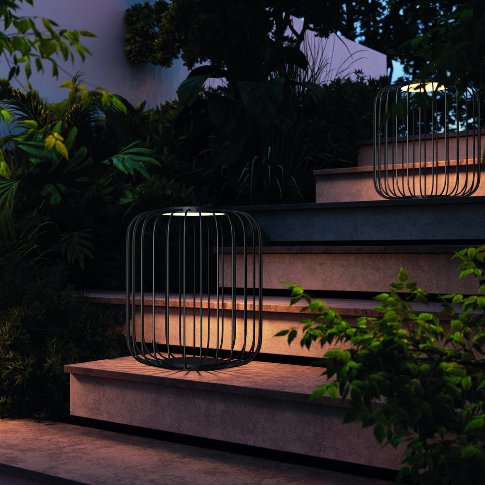 Wisp Landscape Lifestyle