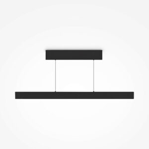 Euphoria Black Pendant Light