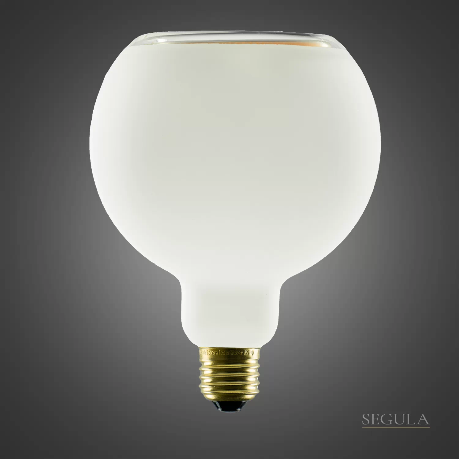 segula-55016