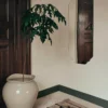 The Florentina Beige Floor Vase XL with a plant on a timber floor