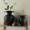 3 Florentina Black vases on a shelf