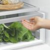 Fisher & Paykel 498L quad door refrigerator freezer with slim external water dispenser, automatic ice maker, and stainless steel finish.