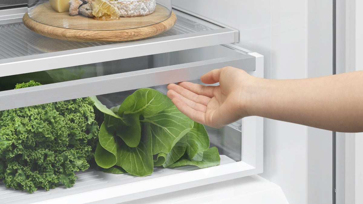 Fisher & Paykel 498L quad door refrigerator freezer with slim external water dispenser, automatic ice maker, and stainless steel finish.