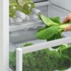 fisher-paykel-integrated-refrigerator-freezer-ice-water-drawer-2 Fisher & Paykel integrated refrigerator freezer with panel-ready design, internal water dispenser, automatic ice maker, and flexible food storage.